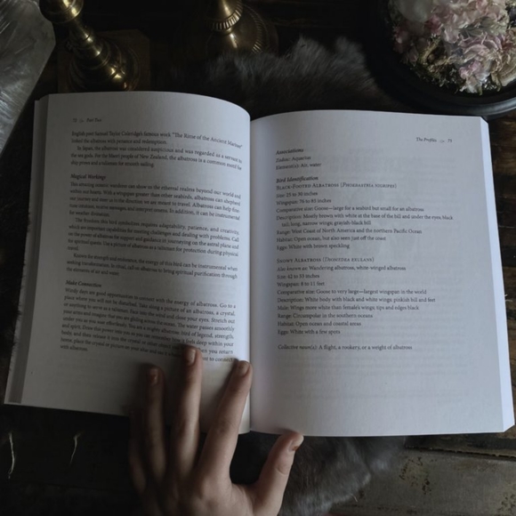 BIRD MAGIC - Picture 2 of 2